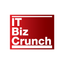 IT BIZ Crunch logo