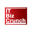 IT BIZ Crunch logo